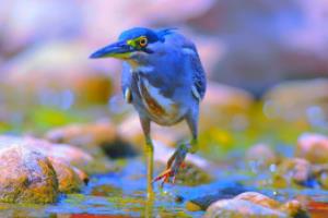 2024年欧洲杯时间表，赛事安排及亮点解析2024年欧洲杯时间